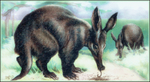 aardvark free clipart