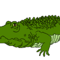 alligator free clipart