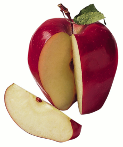 apple sliced free clipart