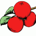 apples on tree free clipart