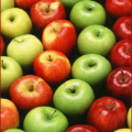 apples rows free clipart