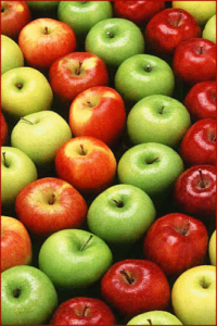 apples rows free clipart