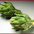 artichoke pair free clipart