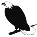 bald eagle bw free clipart