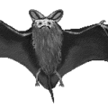 bat fly free clipart