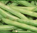 beans banner free clipart