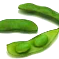 beans free clipart