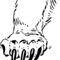 bear grizzly paw free clipart