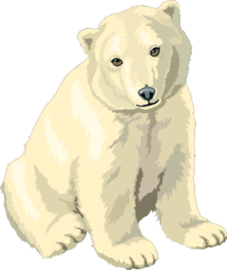 bear polar free clipart