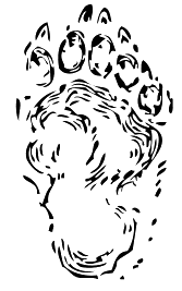 bear print free clipart