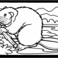 beaver with branch free clipart