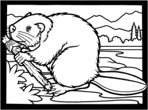 beaver with branch free clipart