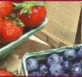 berries banner free clipart