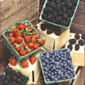 berries fruits free clipart