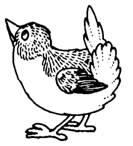 bird bw looking up free clipart