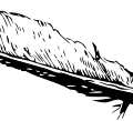 bird feather free clipart