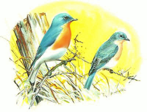 blue birds free clipart