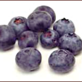 blueberries free clipart