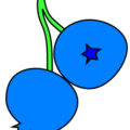 blueberries with stem free clipart