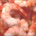 boiled shrimp free clipart