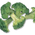 broccoli buds free clipart