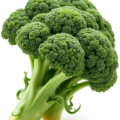 broccoli free clipart image