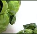 brussel sprouts banner free clipart