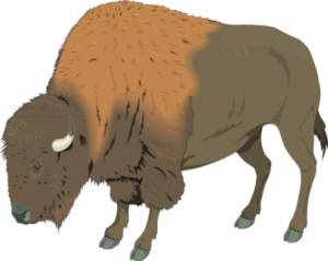 buffalo free clipart