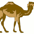 camel free clipart