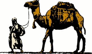 camel led free clipart