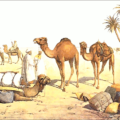 camel travel free clipart