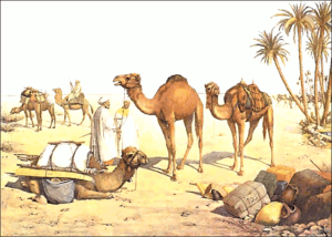 camel travel free clipart