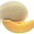 cantaloupe free clipart