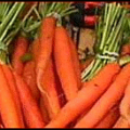 carrot banner free clipart