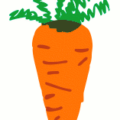 carrot drawing free clipart