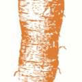 carrot tone free clipart