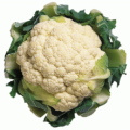 cauliflower free clipart