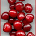 cherries bunch free clipart