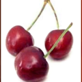 cherries with stems free clipart