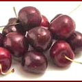 cherry bunch free clipart