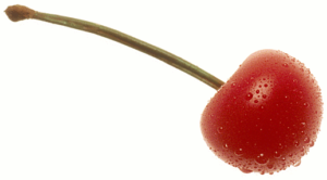 cherry free clipart