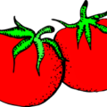 cherry tomatoes free clipart