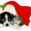 christmas cat dog hat free clipart