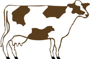 cow free clipart