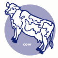 cow icon free clipart