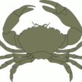 crab free clipart