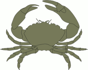 crab free clipart