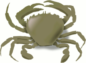 crab paint free clipart