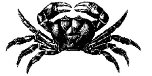 crab sketch free clipart