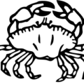 crab small bw free clipart